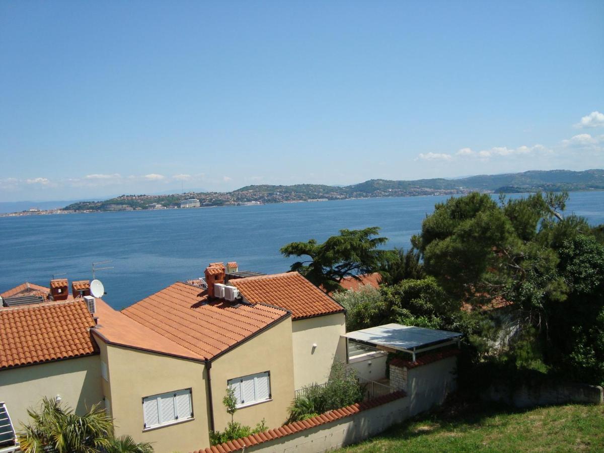 Apartman Carmen Crveni Vrh Exterior photo